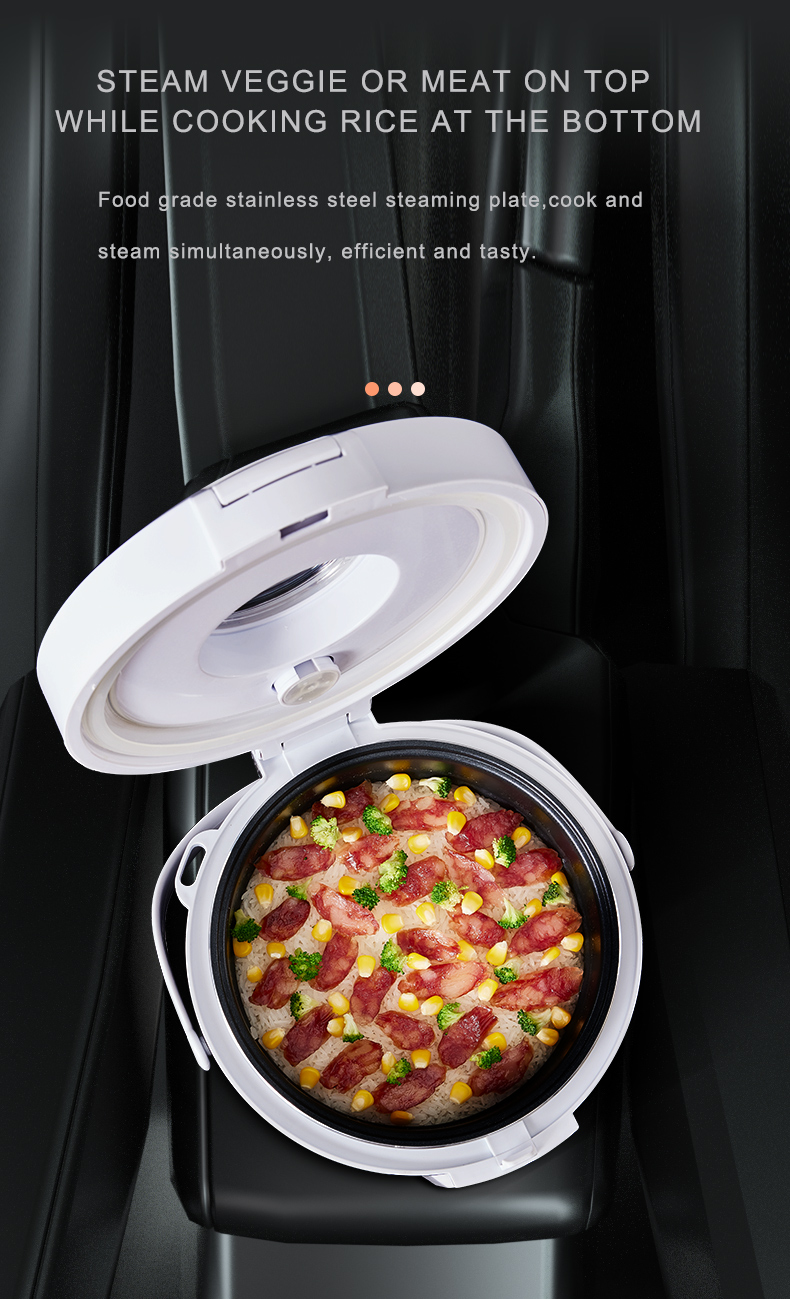 24V Rice Cooker  Truck Soup St - Camping Cooking Basket 评论和价格