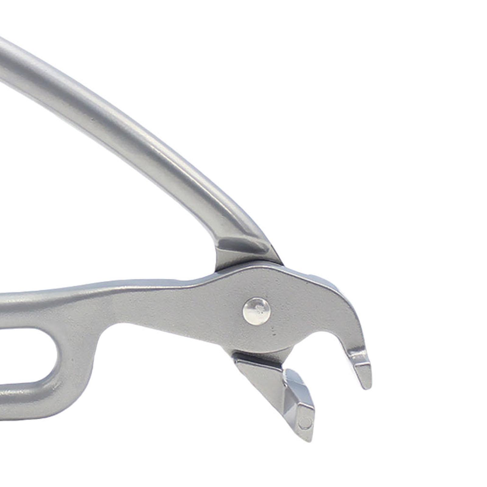2xPizza Pan Gripper Heavy Duty - Camping Cooking Hot Plate 评论和价格