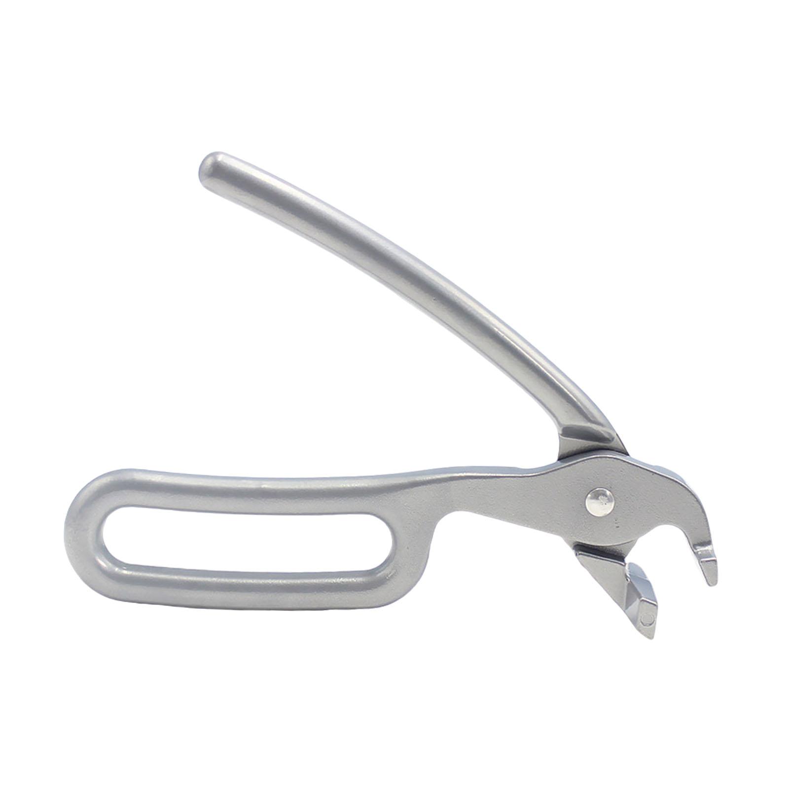 2xPizza Pan Gripper Heavy Duty - Camping Cooking Hot Plate 评论和价格