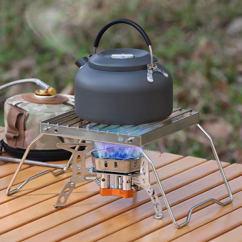Outdoor Stainless Steel Stove  - Camp Grill Portable Folding 评论和价格